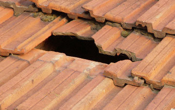 roof repair Dippertown, Devon